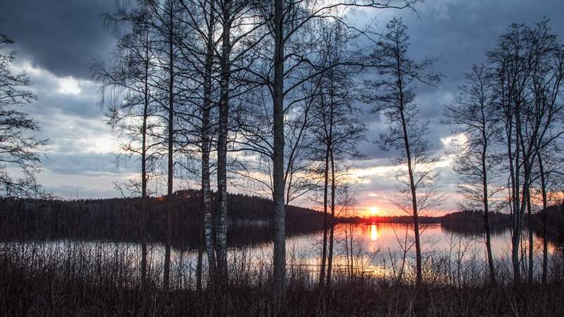 Finnischer See hinter Bäumen