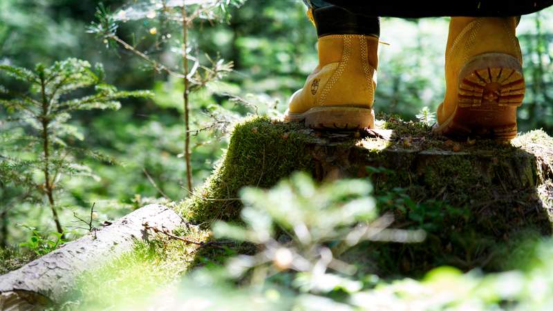 Waldbaden - Team SEIN in der Natur