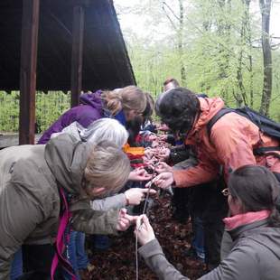 Für „aktive“ Firmen: Teamtag im Pfälzerwald