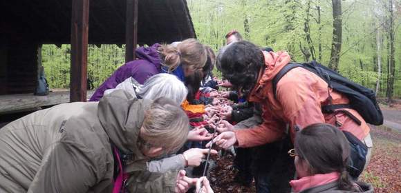 Für „aktive“ Firmen: Teamtag im Pfälzerwald