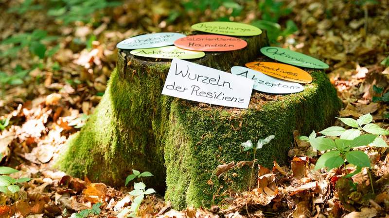 Resilienz Stärkung als Teamevent