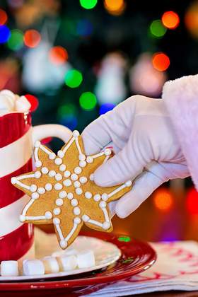 Backen und Kochen zur Weihnachtsfeier