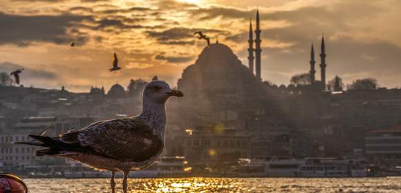 Istanbul ist reich an Kunst und Kultur