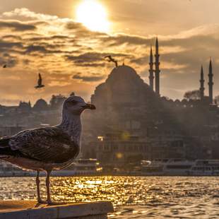 Istanbul ist reich an Kunst und Kultur