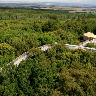 Baumkronenpfad im Hainich Baumkronenpfad im Hainich