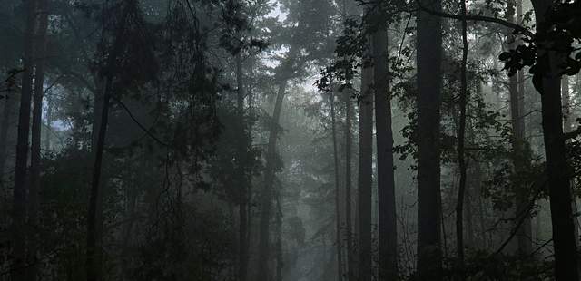 Gruselnachtwanderung - Teamplay Events Gruselnachtwandung, Grusel Event, Horror Event, Firmenevent, Firmenfeier