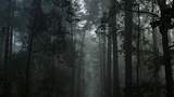 Gruselnachtwandung, Grusel Event, Horror Event, Firmenevent, Firmenfeier