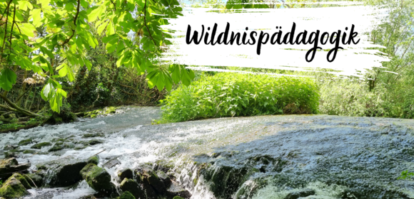 Wildnispädagogik als Abenteuer für Teams