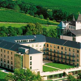 Betriebsausflug an die Obermosel