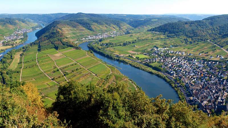 Incentive: Weinreise Mosel & Rhein