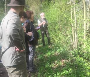 Gruppe Wald