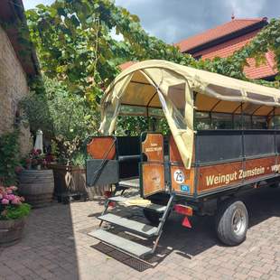 Planwagen Zumstein