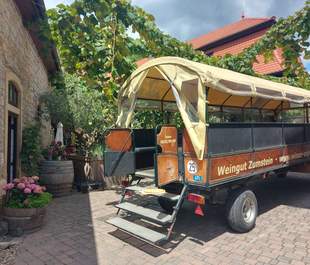 Planwagen Zumstein