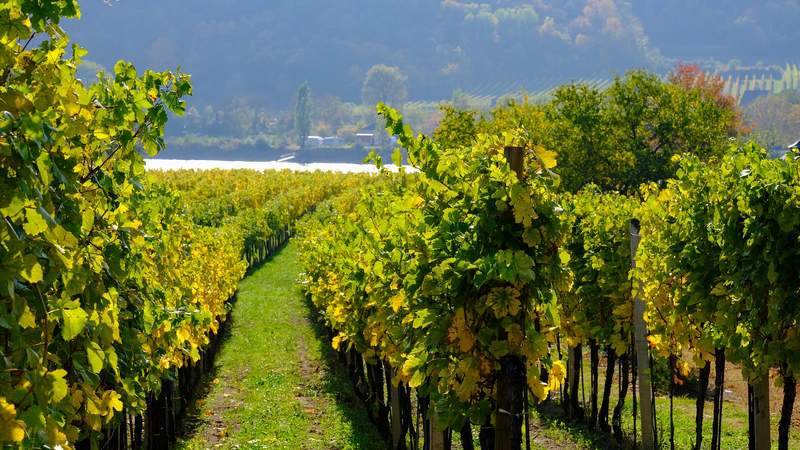 Steiermark Incentive in die Steiermark