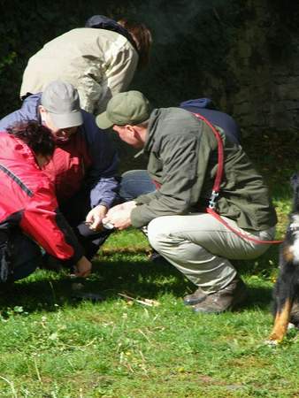 Outdoor-Olympiade: Survival Parcours