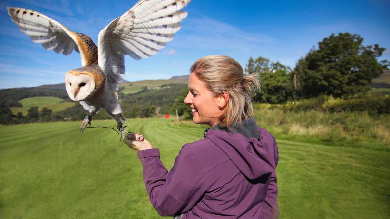 Willkommen in 'Trendy Edinburgh'