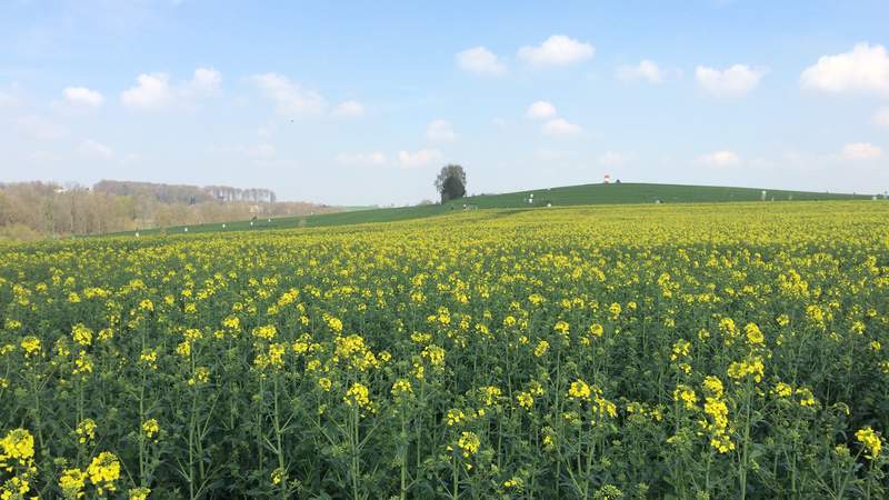 Bauernhof Land Teambuilding Rallye