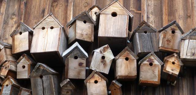 CSR-Event Nistkasten bauen: Natur und Umwelt