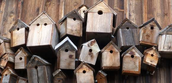 CSR-Event Nistkasten bauen: Natur und Umwelt