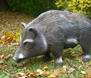 Wildschweinjagd