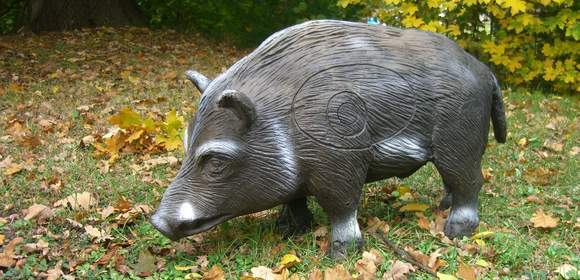 Wildschweinjagd auf Schloss Schweinsburg