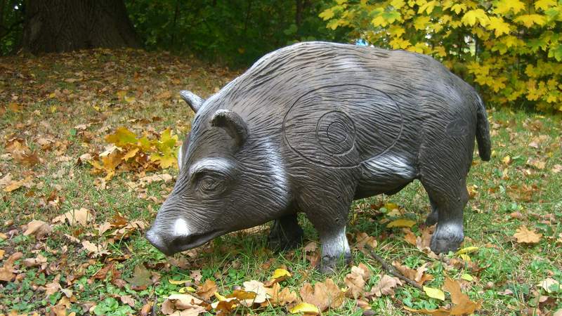 Wildschweinjagd in der Marina Wolfsbruch