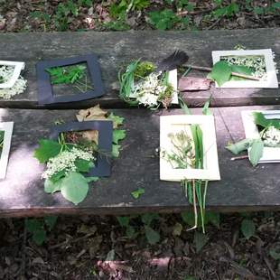 Naturerlebnis-/Entschleunigungstag für Teams