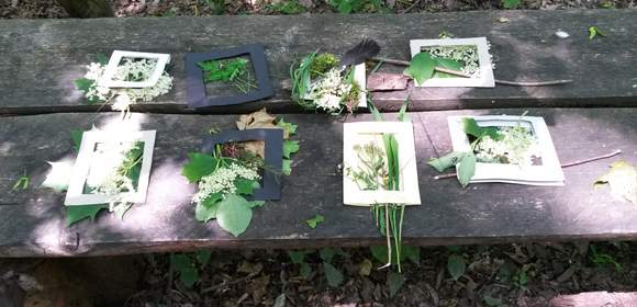 Naturerlebnis-/Entschleunigungstag für Teams