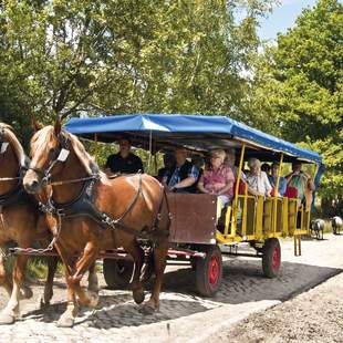 Partywochenende mit Planwagenfahrt in Soltau