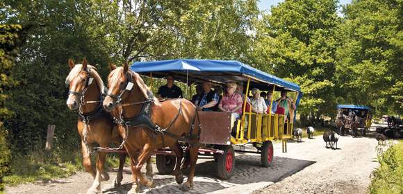 Partywochenende mit Planwagenfahrt in Soltau