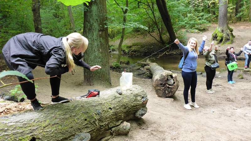 Geocaching+ "grüne Lunge" Dresdner Heide