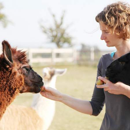 Mit dem Lama ab in die Natur!