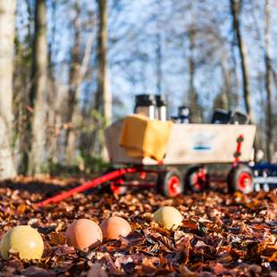 WALDBOSSELN WALDBOSSELN – Ihre Weihnachtsfeier in Kiel