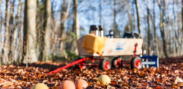 WALDBOSSELN WALDBOSSELN – Ihre Weihnachtsfeier in Kiel