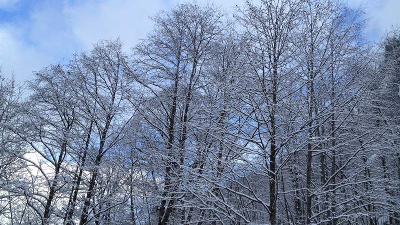 Weihnachtsfeier am Bergsee