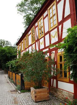 Kulinarische Weinwanderung in Radebeul