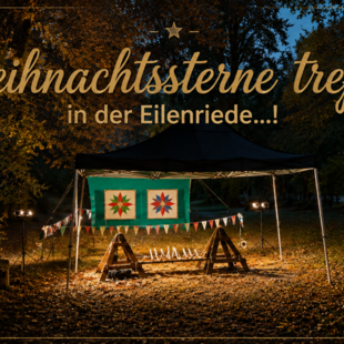 Weihnachtssterne treffen...! Weihnachtssterne treffen in der Eilenriede..!
