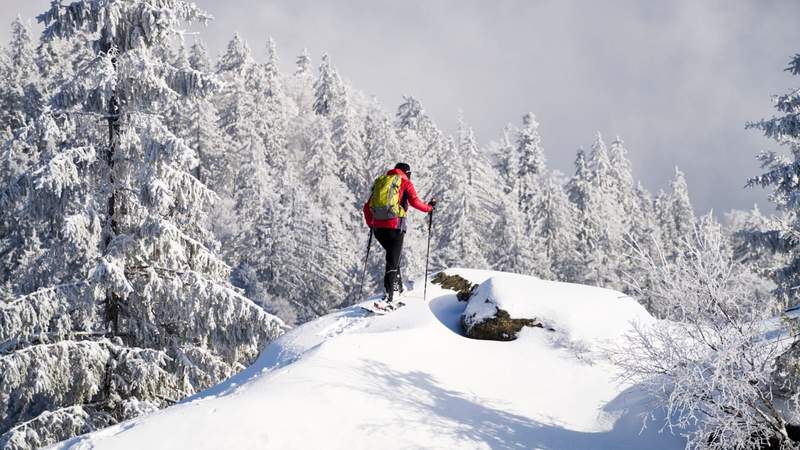 Schneeschuhwandern in Niederbayern