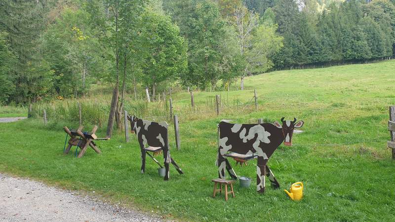 Bayerischer Teamtag auf der Alm