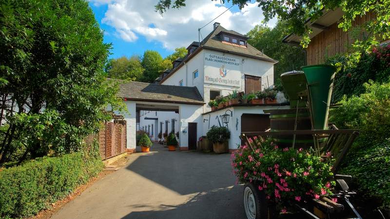 Weinausflug & Schiffsfahrt Trier
