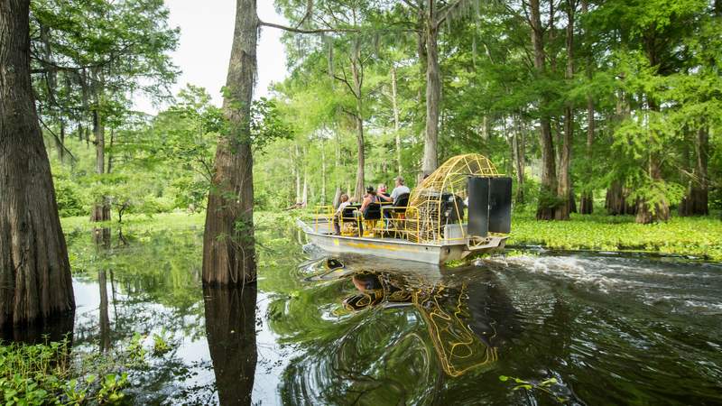 Airboat Tour in den Sumpfgebieten Airboat New Orleans