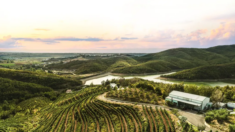 Duka winery Albania Unlocked: Team Edition