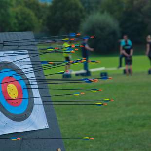 Team-Battle Team-Battle