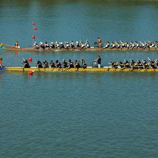 longboat, 50er drachenboot, drachenboot, dragon boat, event, drachenbootfahren, drachenbootrennen, rennen, fahren, paddeln