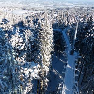 Winterzauber über den Baumwipfeln