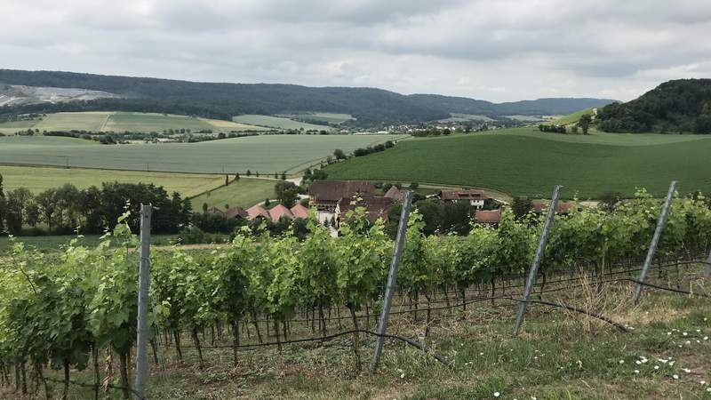 Wein & Winzer auf dem Weingut