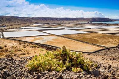 Incentive Reise Spanien Lanzarote Salinen