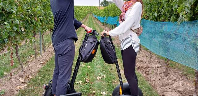 Segway Wein Wein & Reben - kulinarische Segway Tour