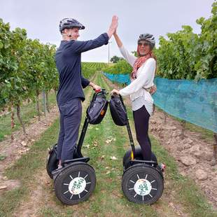 Wein & Reben - kulinarische Segway Tour