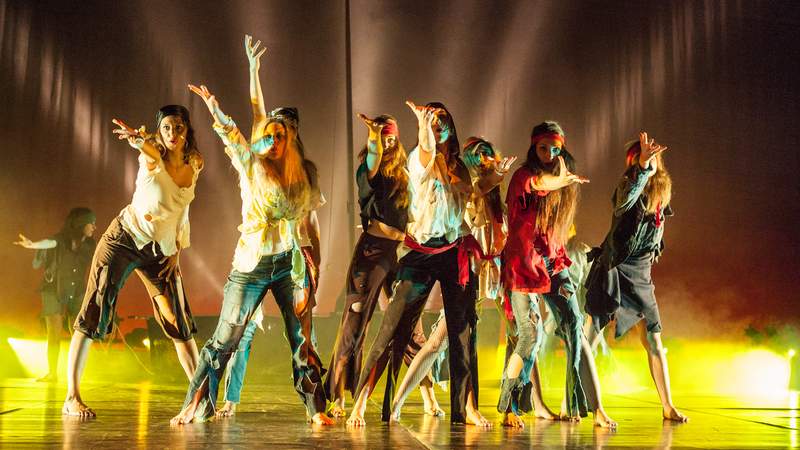 Fluch der Karibik Welt der Musicals
